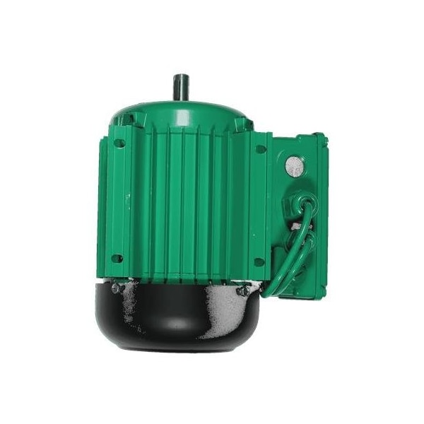 Pump Repair Parts- MOTOR 1x220V-4 0, 37KW B3 HANNING /spare.
